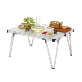 Folding Camping Table with Storage Bag for Outdoor Trip (Type: Camping Table, Color: Silver)